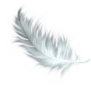 Feather